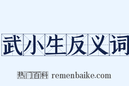 武小生反义词是什么意思的图片